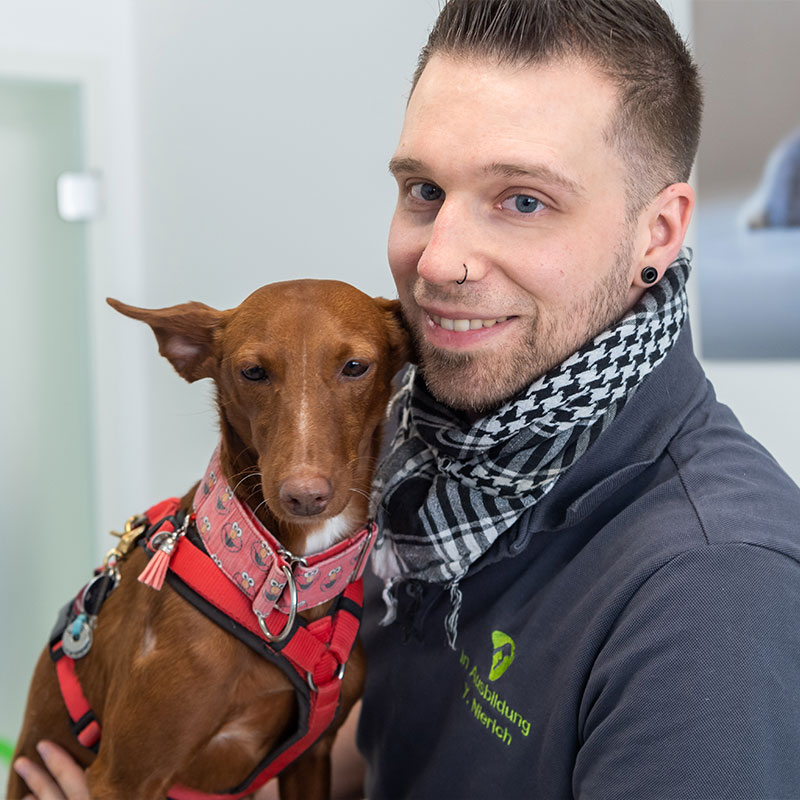 YANNICK NIERICH TFA mit Schwerpunkt Anästhesie Er sorgt dafür, dass unsere Patienten sanft schlafen und sicher wieder aufwachen.